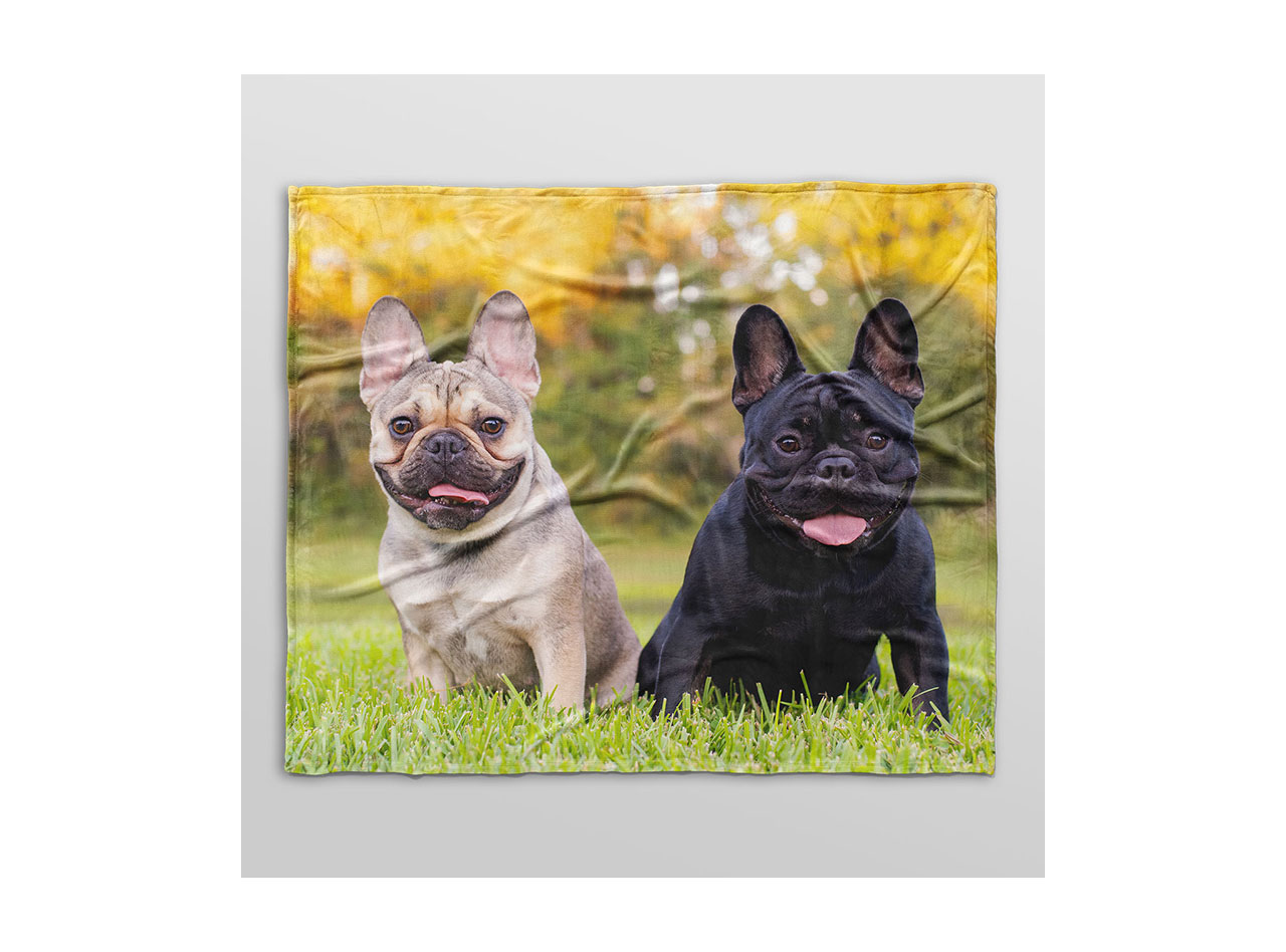 A fleece blanket with a photo of two cute dogs printed on it. 