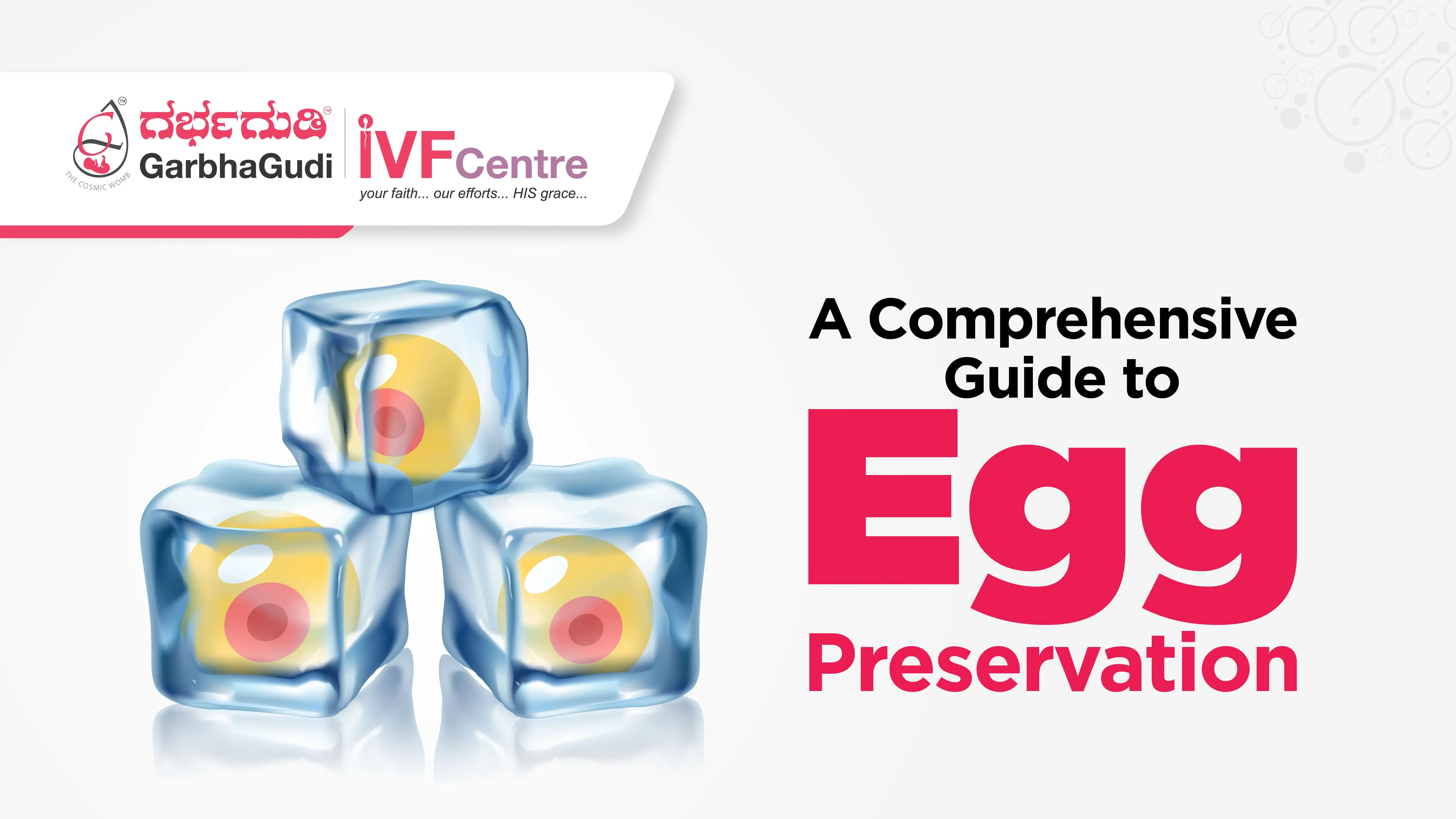 Seeking Egg Preservation Options: A Comprehensive Guide