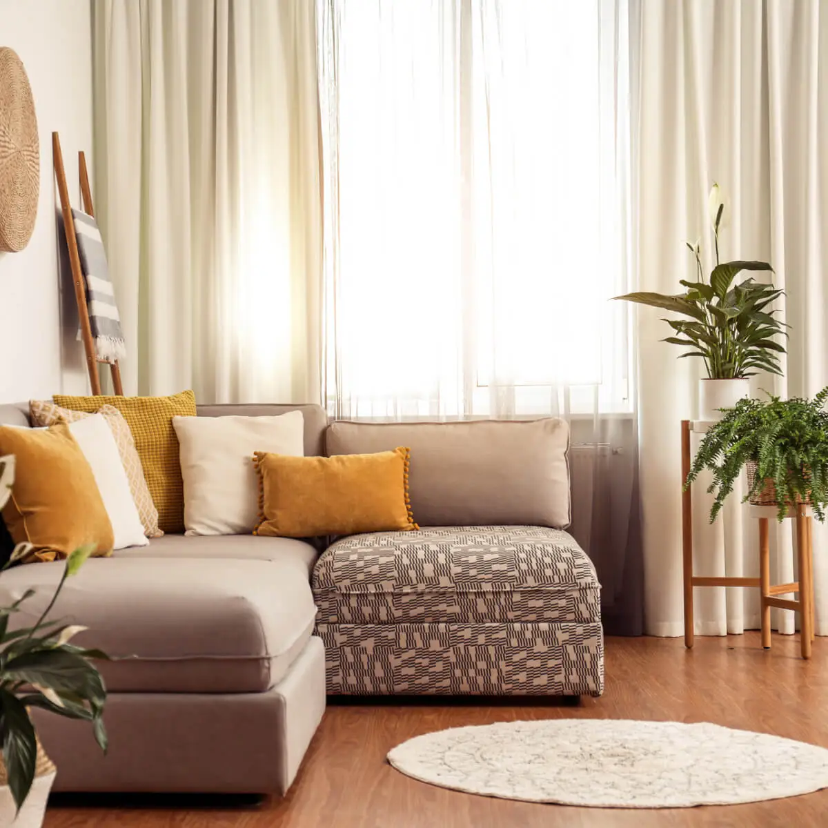 Light filled living room with sofa, plants and a rug, in the background hangs floor to ceiling curtains to keep out some of the glare from the sun.