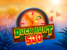 Duck Hunt 500