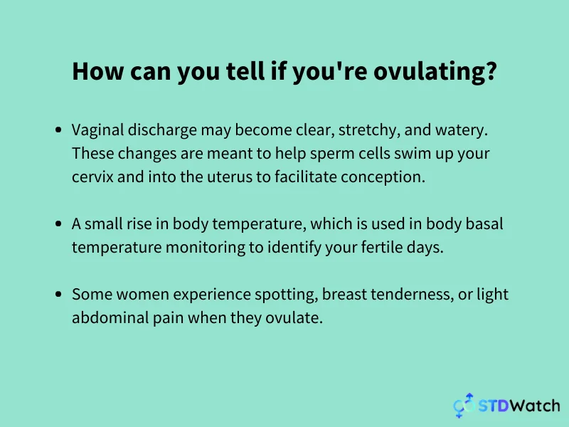 how-to-tell-if-youre-ovulating-infographic