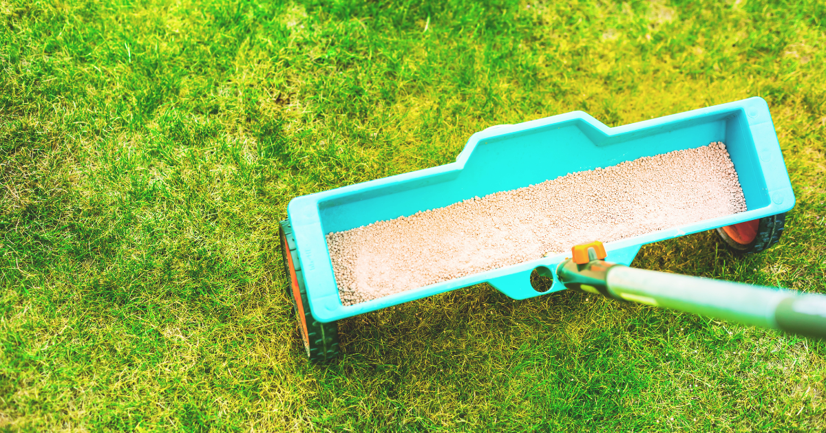 Feeding and Fertilizing.png