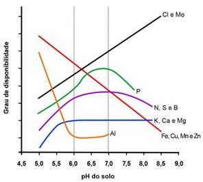 cal2.jpg