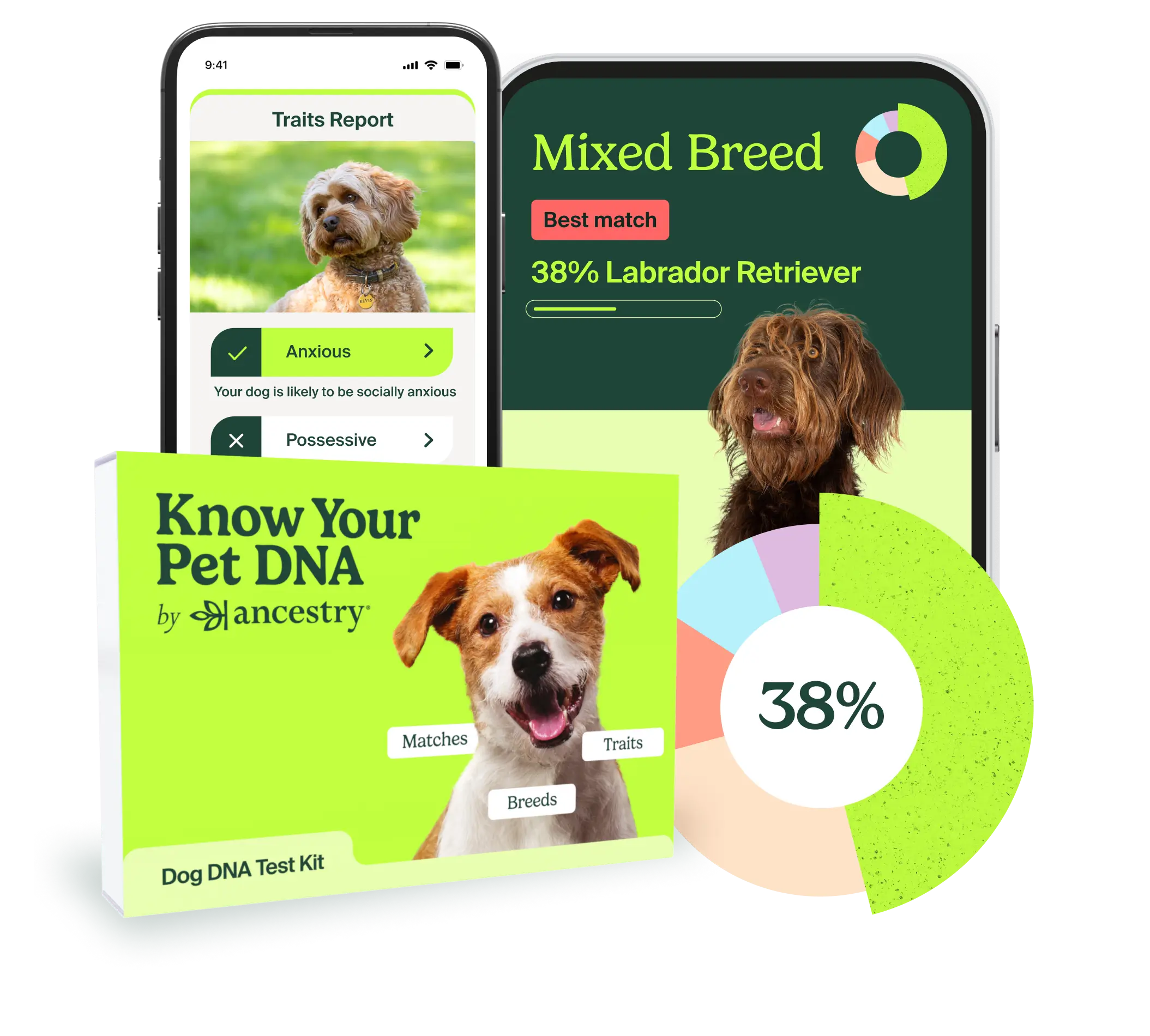 Ancestry store dna dog