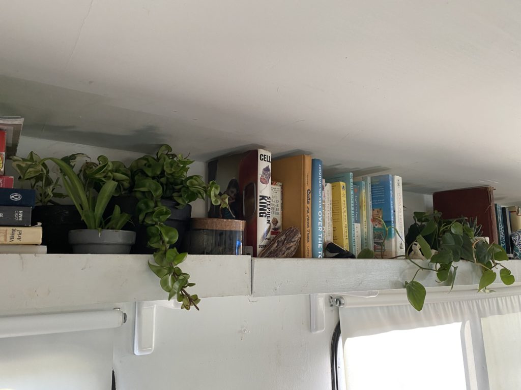 Caring for plants in an RV is not as difficult as it seems.
