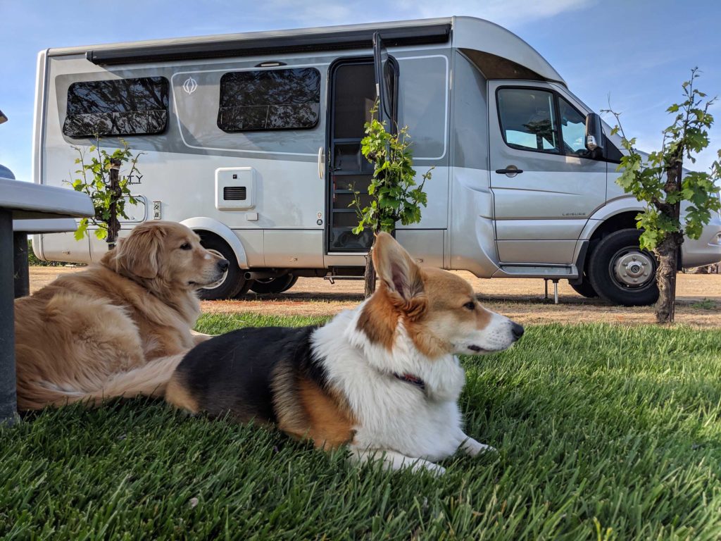 Pet care is another cost of full time RV living.