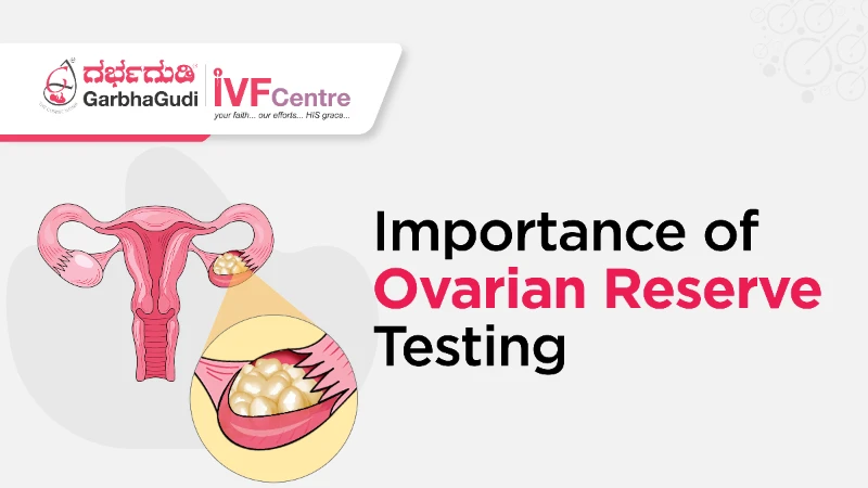 Understanding the Importance of Ovarian Reserve Testing