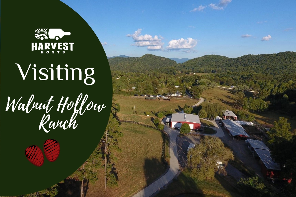 Visiting Walnut Hollow Ranch