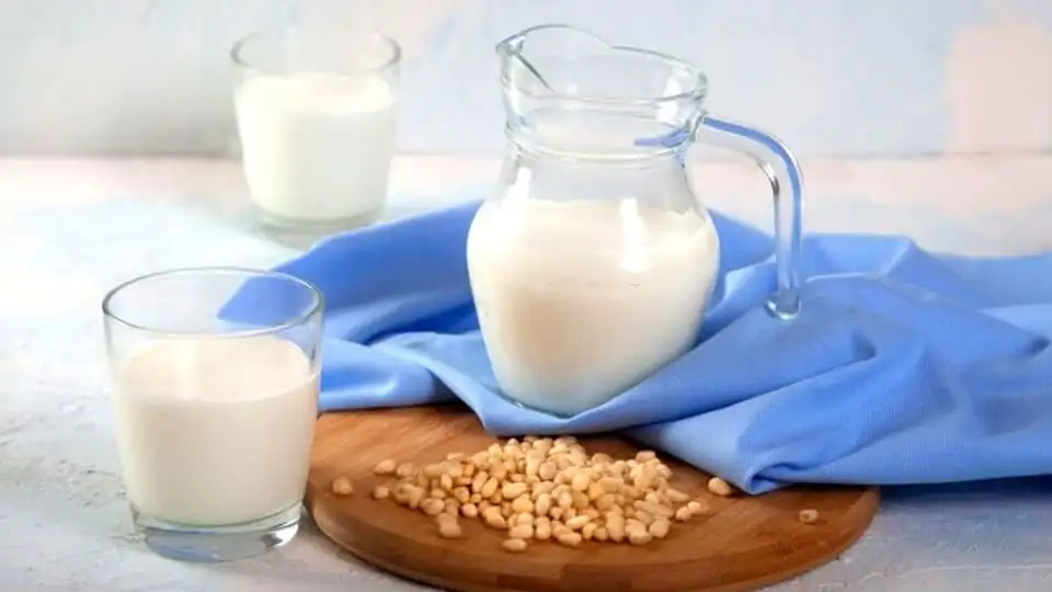 Pine nut milk as Breast milk substitute