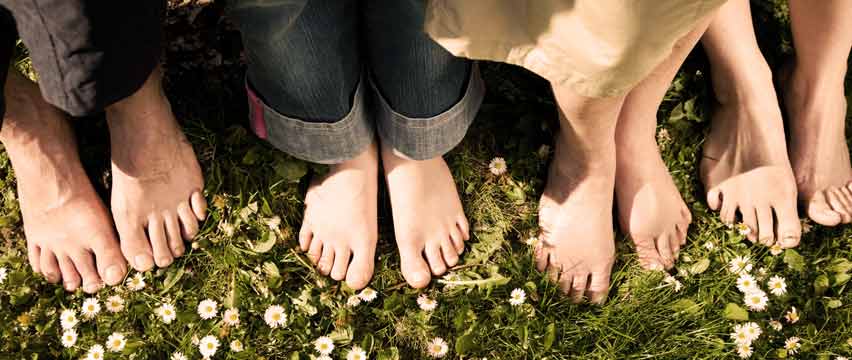 four pairs of bare feet in a grassy field awaiting podiatrist help