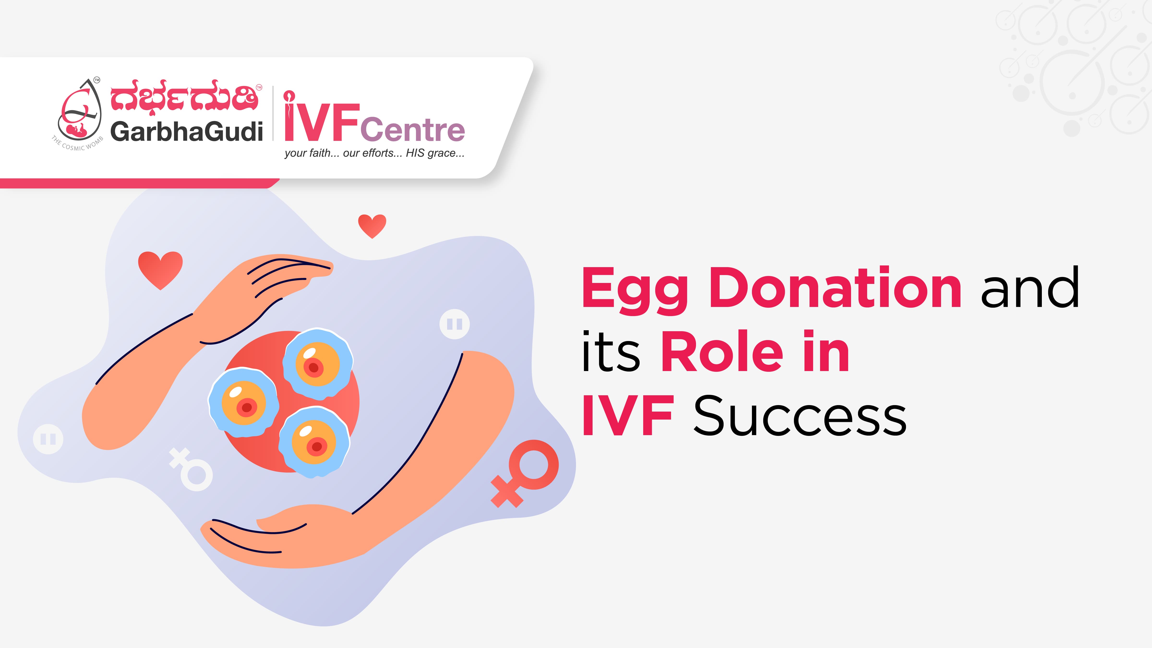 Egg Donation and Its Role in IVF Success