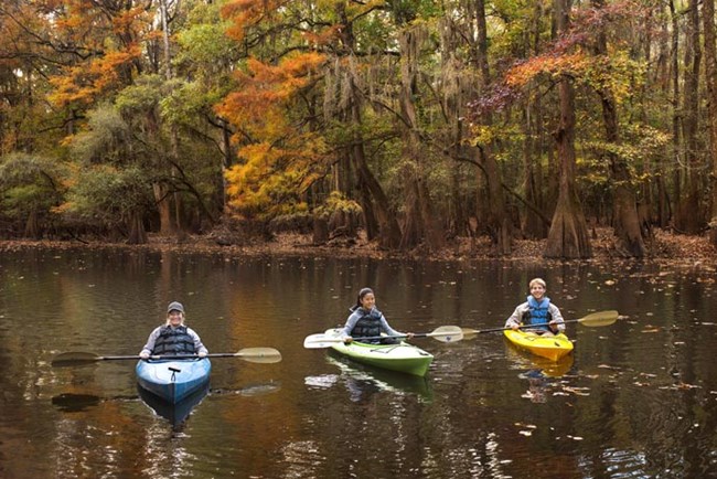 A family of three canoeing in Congaree National Park in the fall