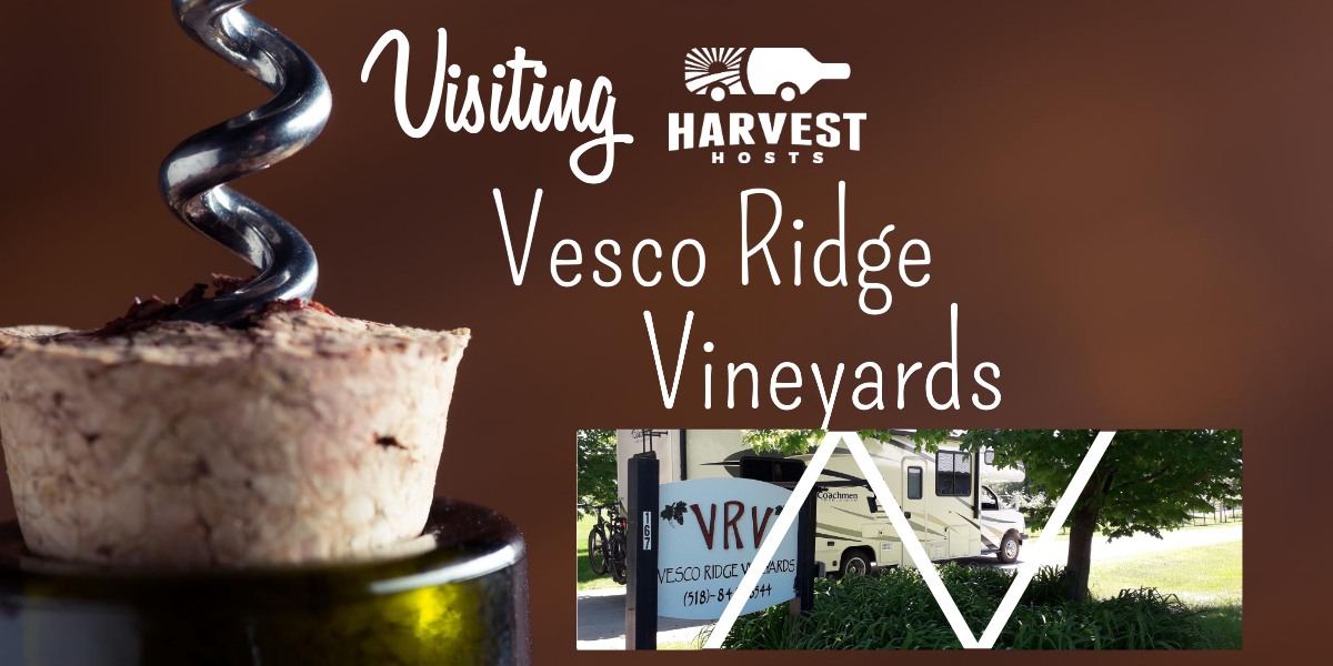 Visiting Vesco Ridge Winery