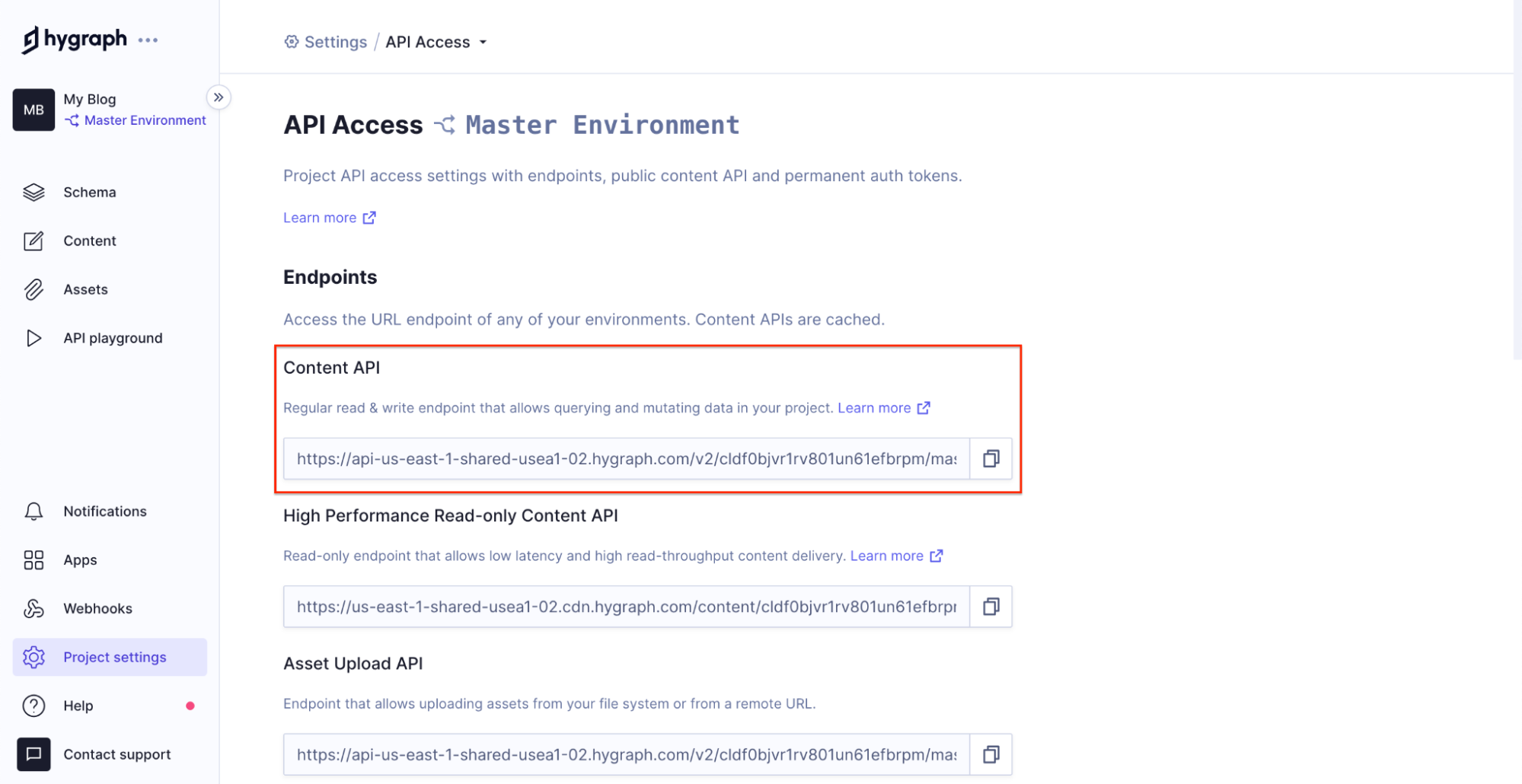 copy the graphql endpoint