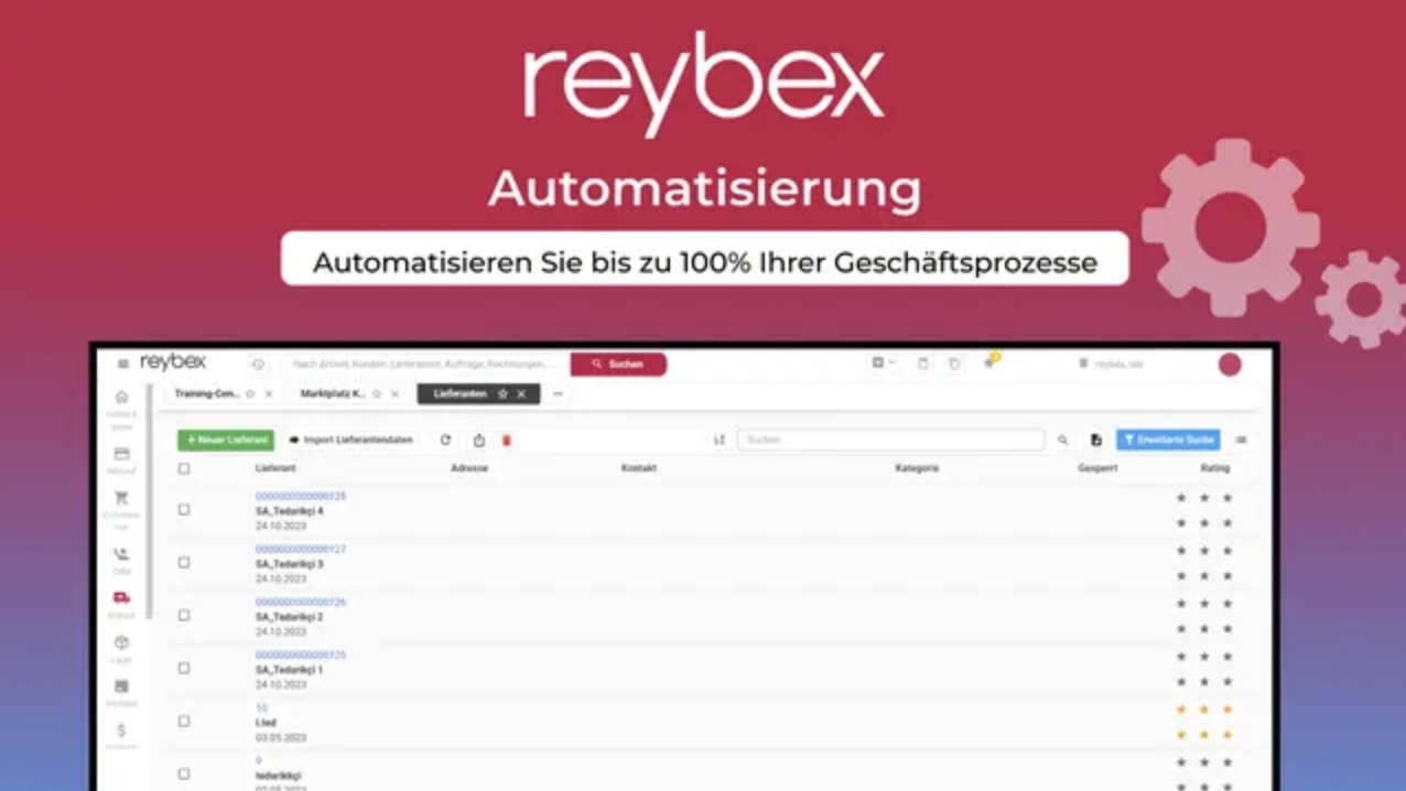 reybex Cloud ERP Screenshot