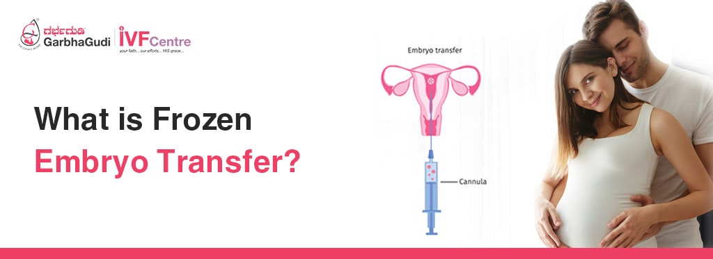 What is Frozen Embryo Transfer?