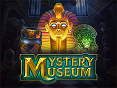 Mystery Museum