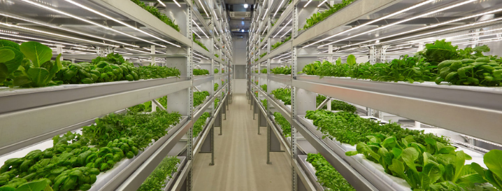 Benefits of Utilizing Shipping Containers for Farming and Agricultural 