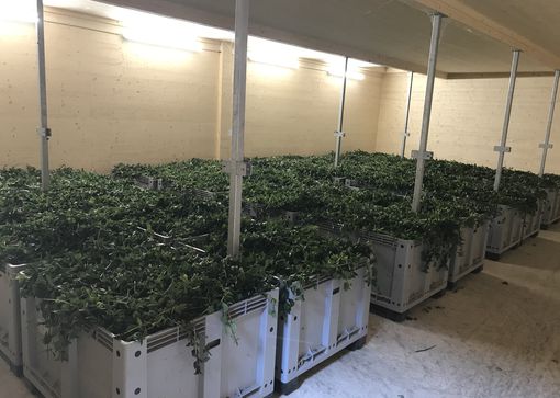 The hay dryer can also be used to dry hops and alfalfa.