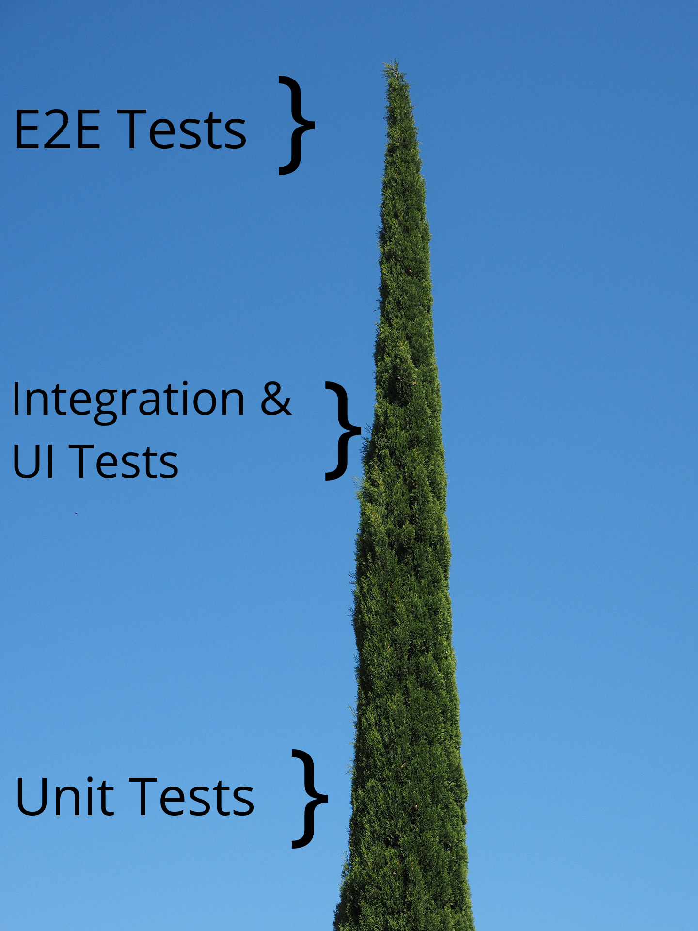 Zypressen als Symbolbild für die mit Cypress als Testing-Framework gelebte Test-Pyramide