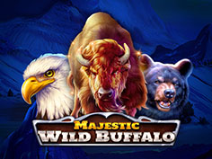Majestic Wild Buffalo