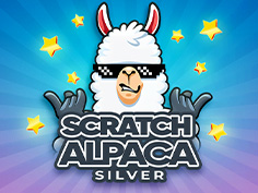 Scratch Alpaca Silver