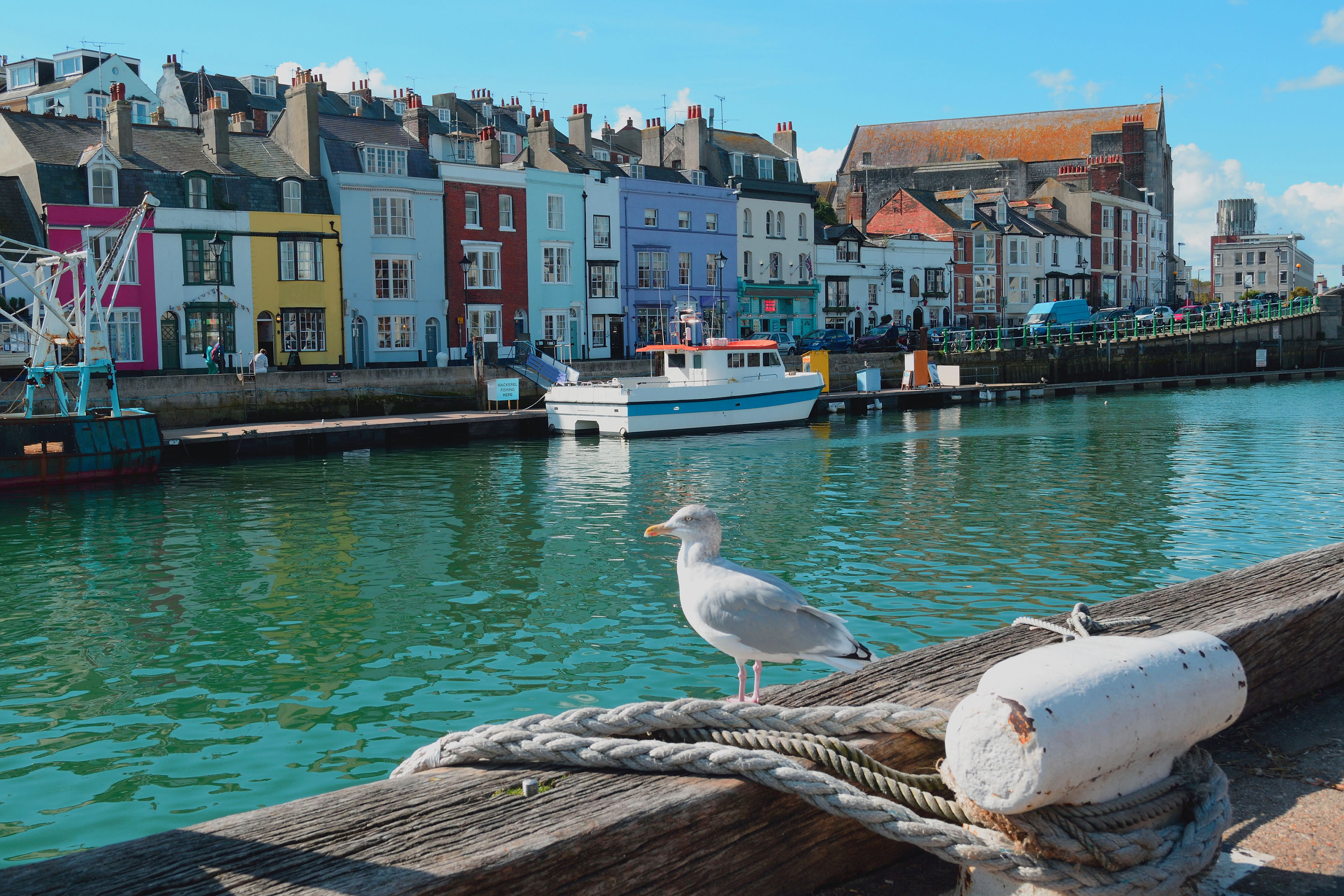 Camping in Weymouth » Campingplätze PiNCAMP by ADAC