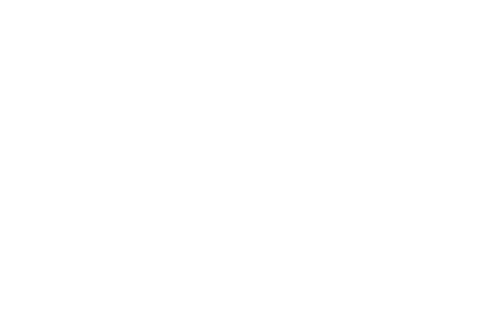 tem. logo