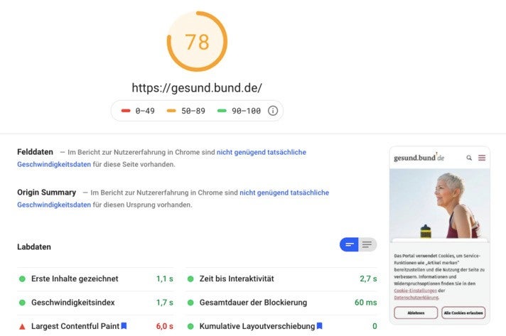 Google-Page-Speed-Analyse der Webseite Insights gesund.bund.de