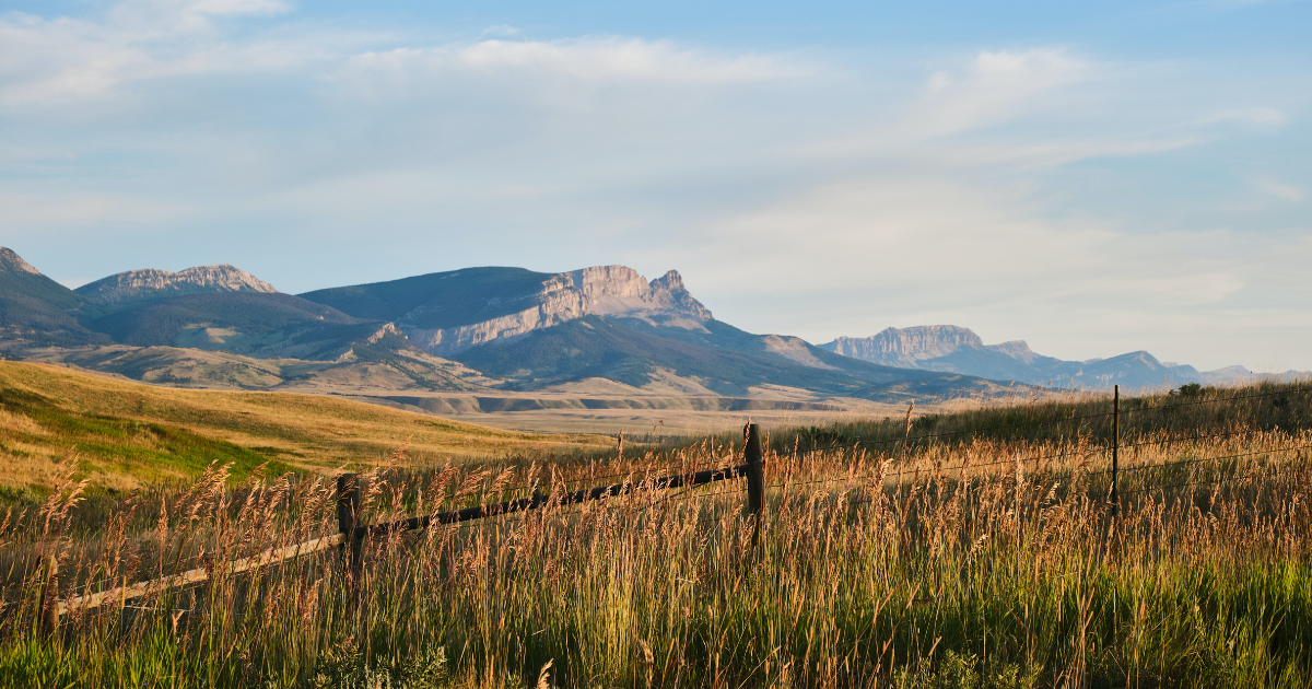 The Best Campgrounds in Montana: National Parks, National Forests, and More