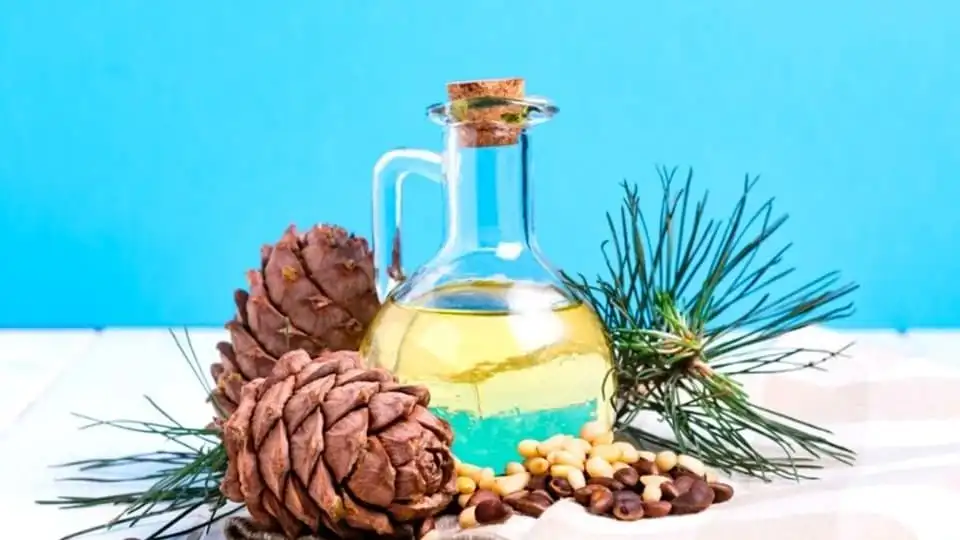 Pine Nut Oil for Children
