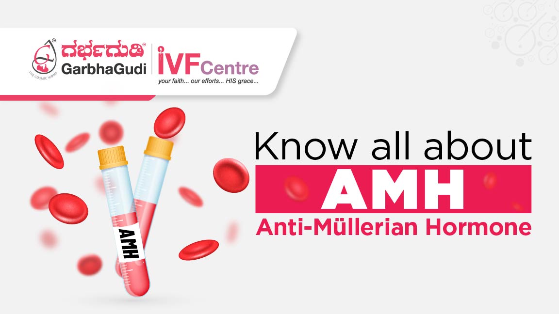 Effective Low AMH Treatment: What You Need to Know