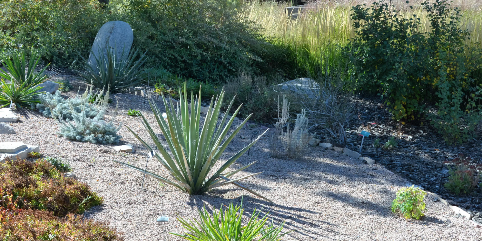 xeriscaping-1657798744961.webp