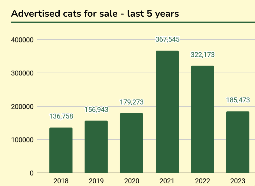 Advertised cats for sale - last 5 years.png