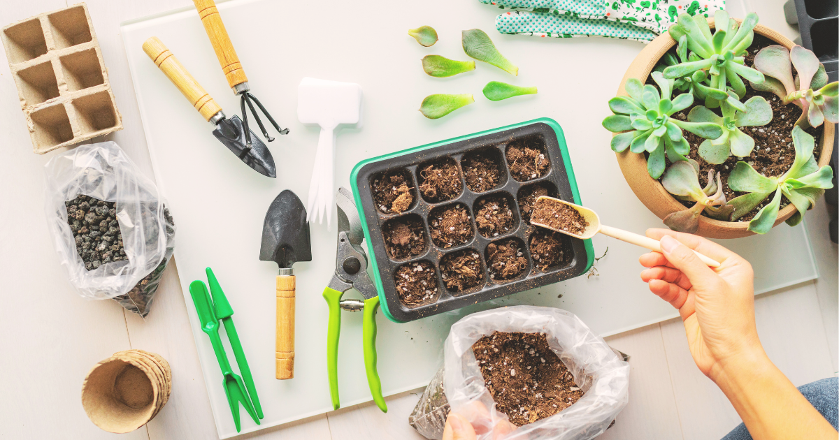 Propagating in Soil.png