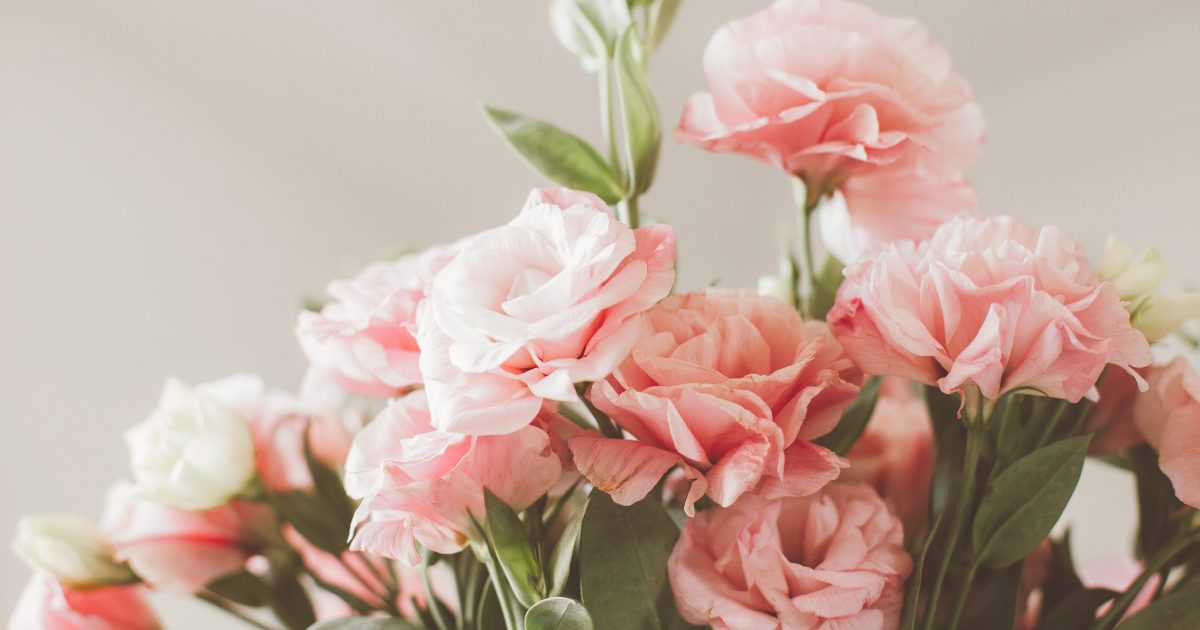 PEONIES.png