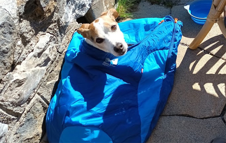 Produkttest-Hundeschlafsack-camping-mit-hund-non-stop-dogwear.jpg