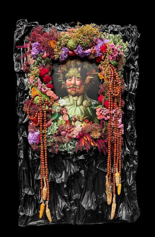 Arcimboldo Nicolas Sahuguède 2.web.jpg