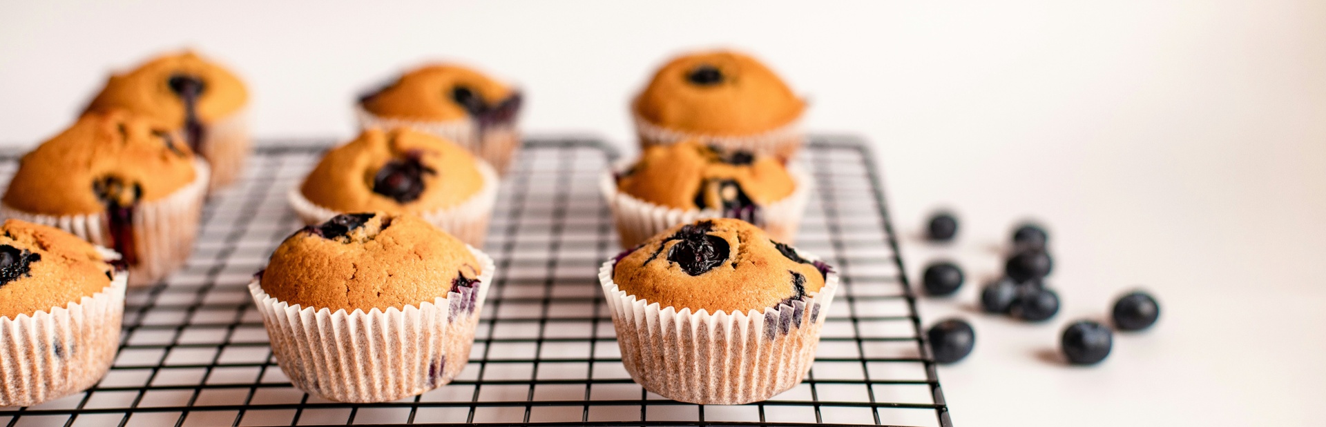 Freshly baked blueberry muffins on a black cooling rack with scattered blueberries on a white background.