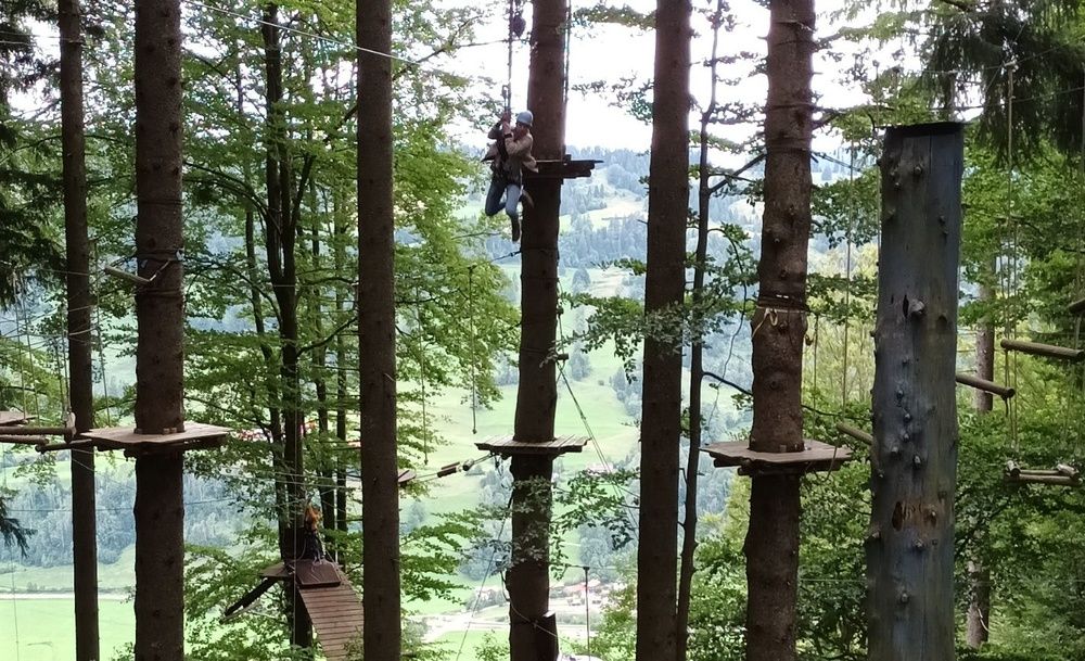 Person is between trees in the climbing forest