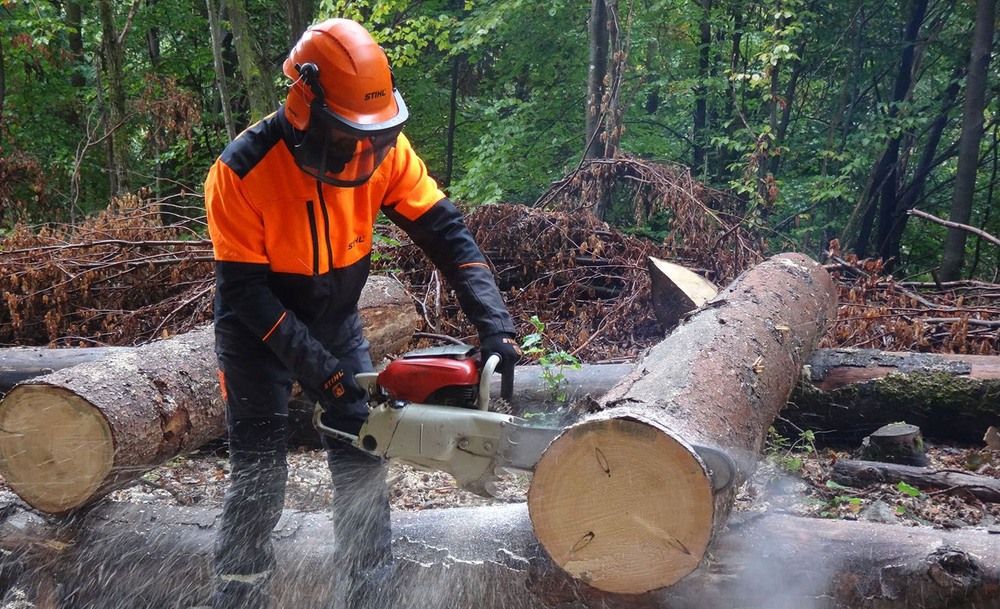 Man saws at felled tree