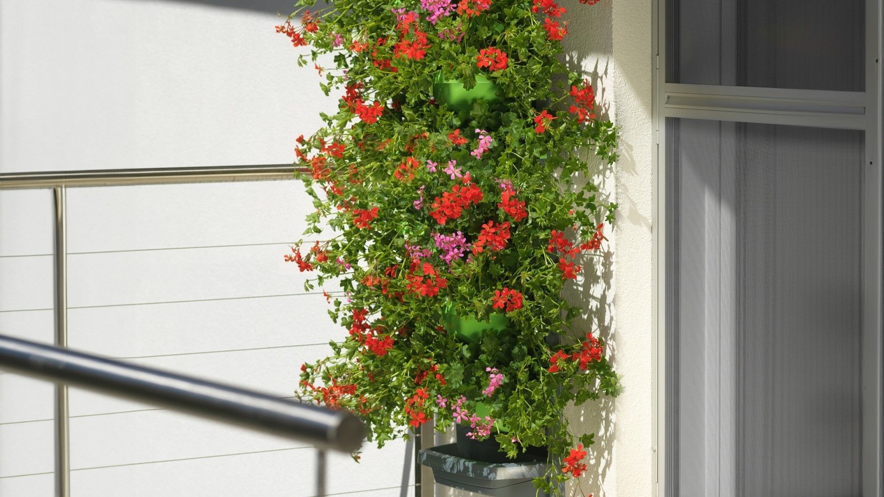 Flowers in the vertical garden on the balcony