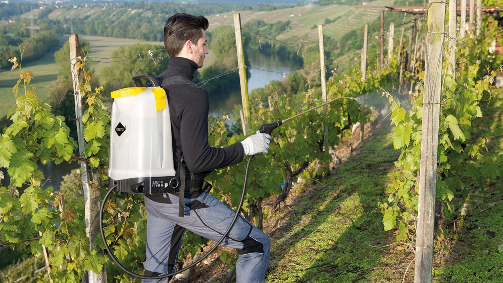 Backpack sprayer is used by a man in the vineyard