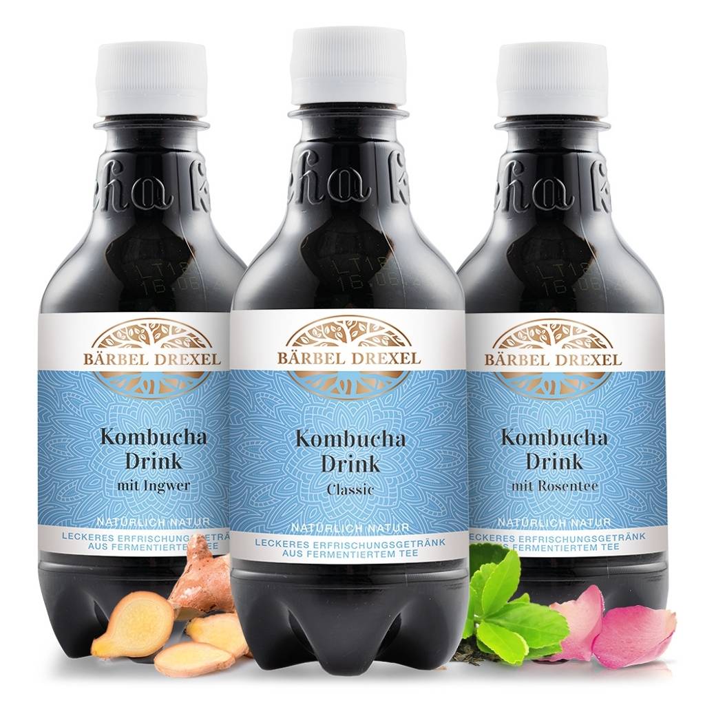 Probierset Kombucha Drink