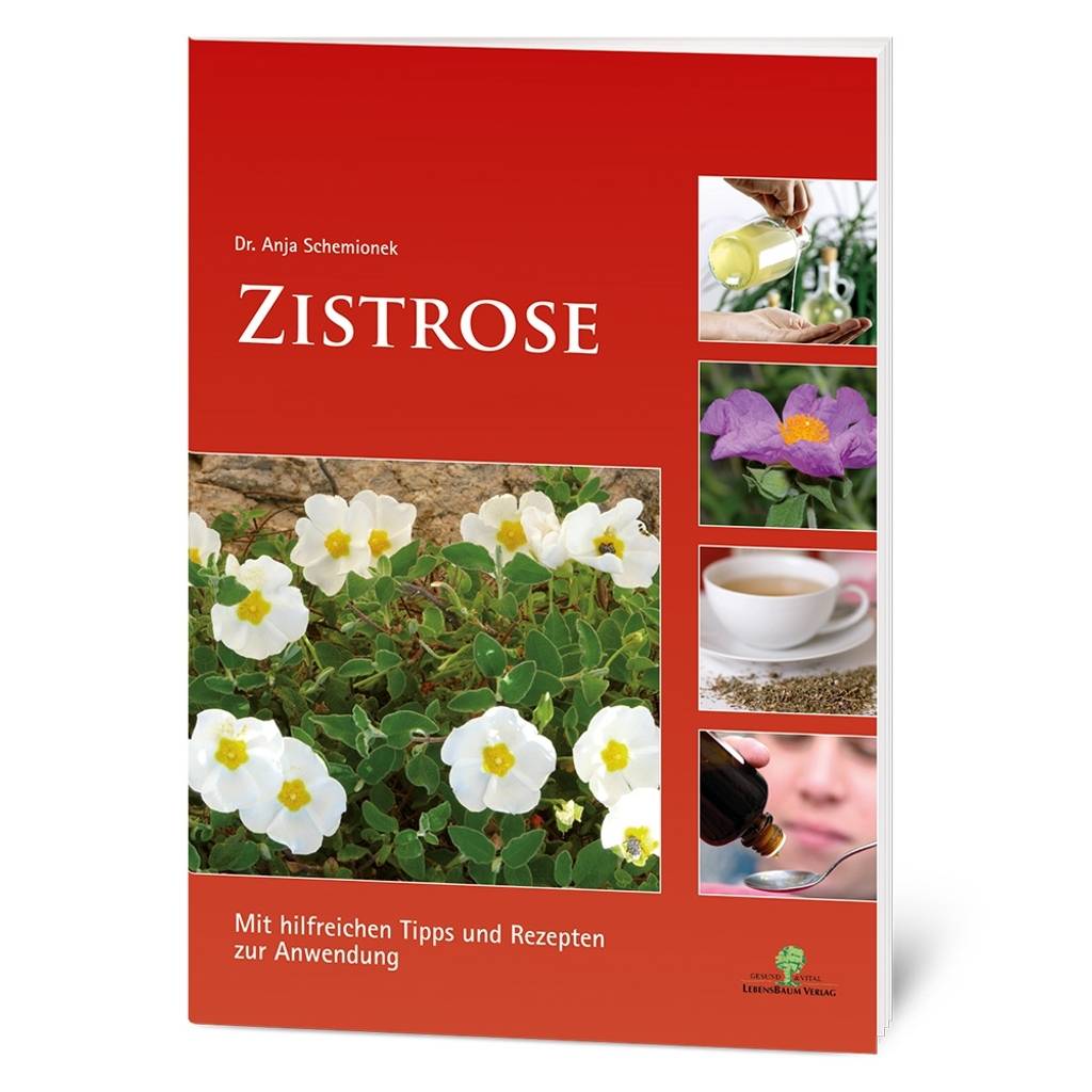 Broschüre Zistrose, 24 Seiten