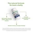 2_EN_Benefits_Brainpower_4833-11.png