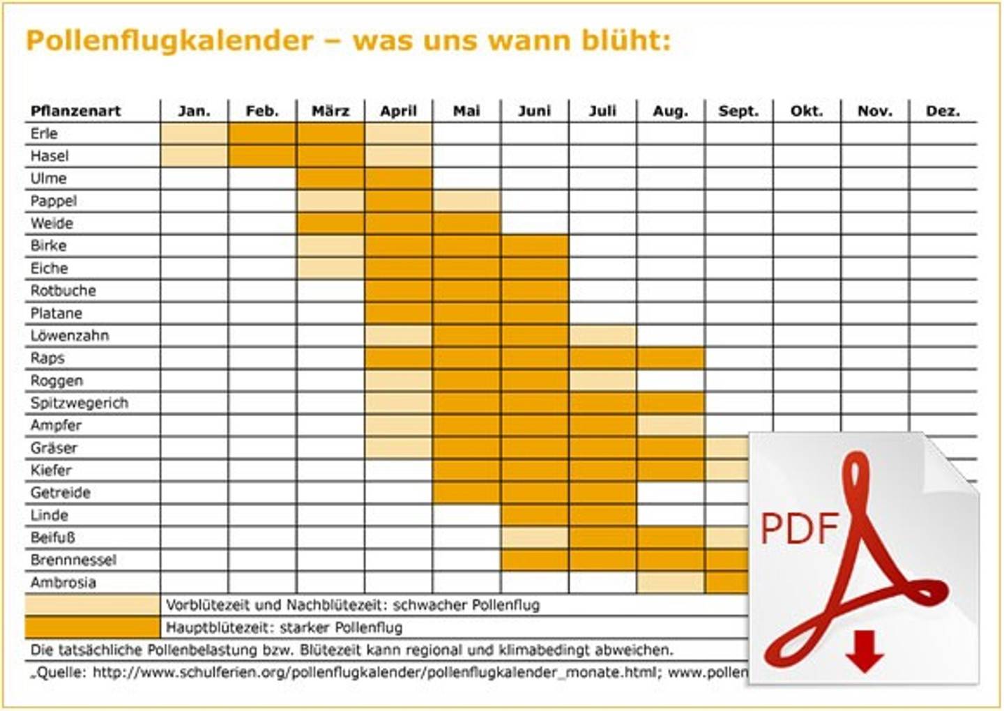 Entspannt durch die Pollenzeit  Bärbel Drexel Blog