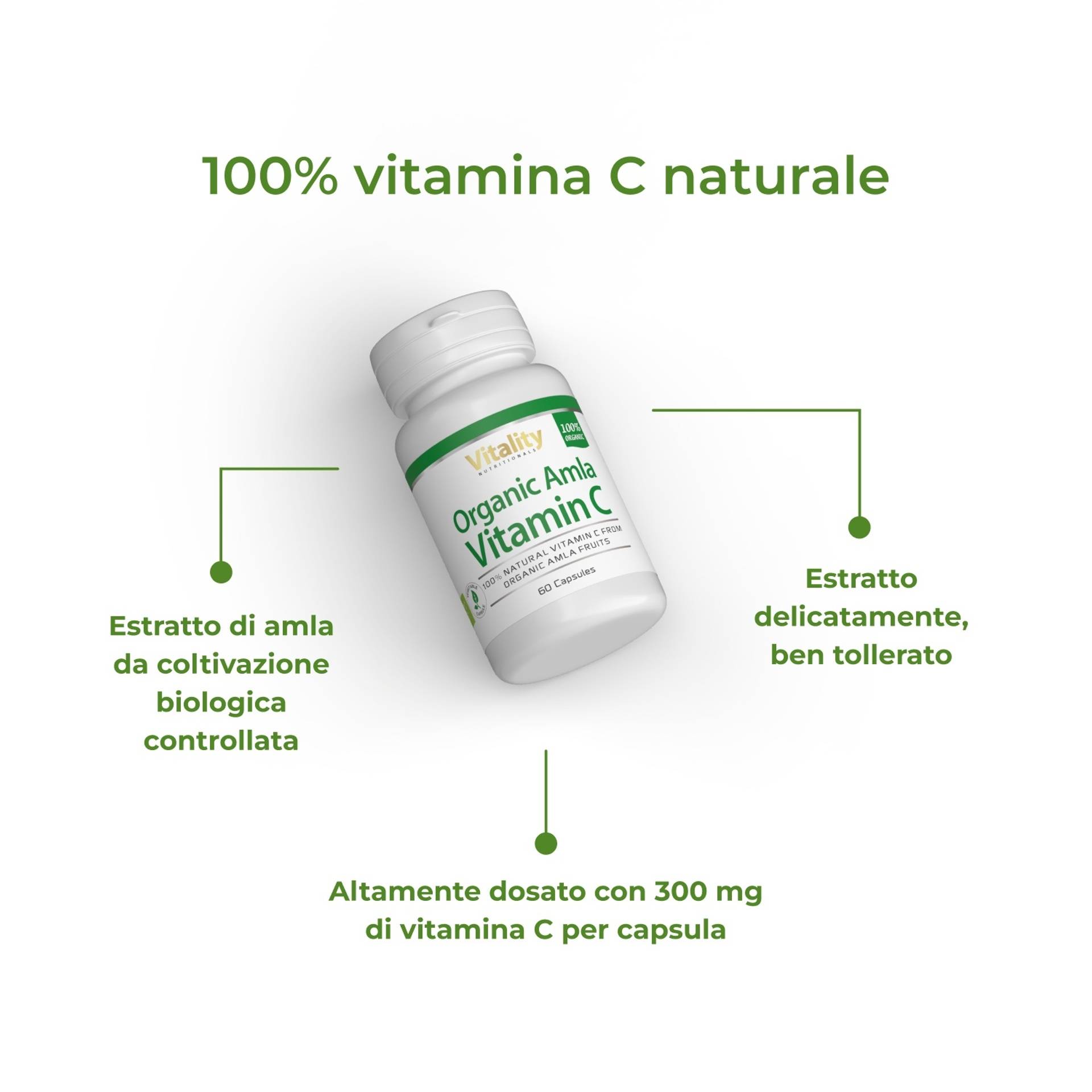 3_IT_Benefits_Organic-Amla-Vitamin-C_6971.png