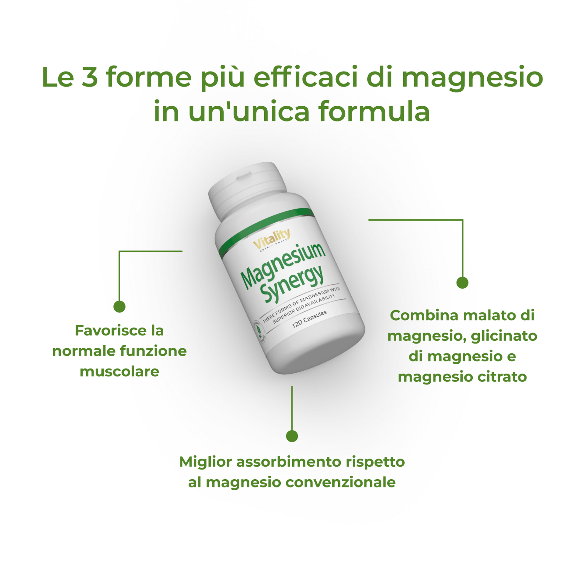 3_IT_Benefits_Magnesium Synergy_6813-04.png