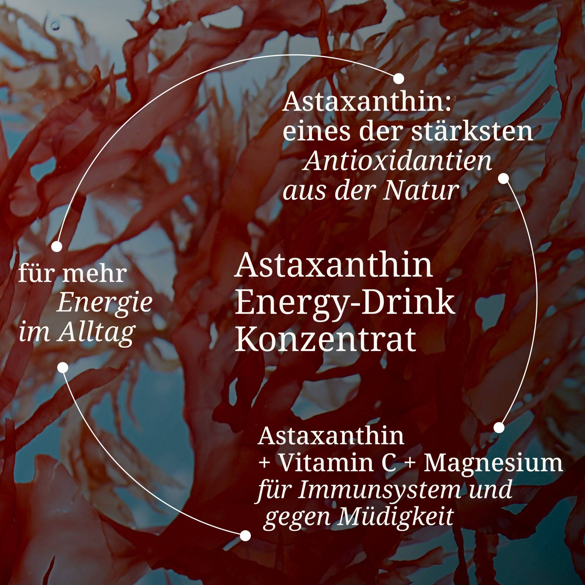 Astaxanthin Energy Drink Konzentrat.jpg